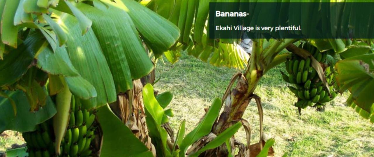9B Ekahi Village-Studio Bath, Garden View - 1 Minute Stroll To Beach! Wailea  Extérieur photo