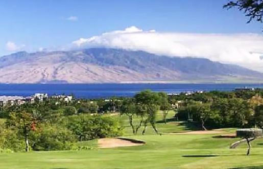 9B Ekahi Village-Studio Bath, Garden View - 1 Minute Stroll To Beach! Wailea  Extérieur photo